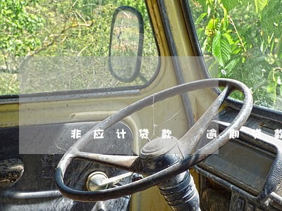 非应计贷款 逾期贷款 非应计贷款 逾期贷款